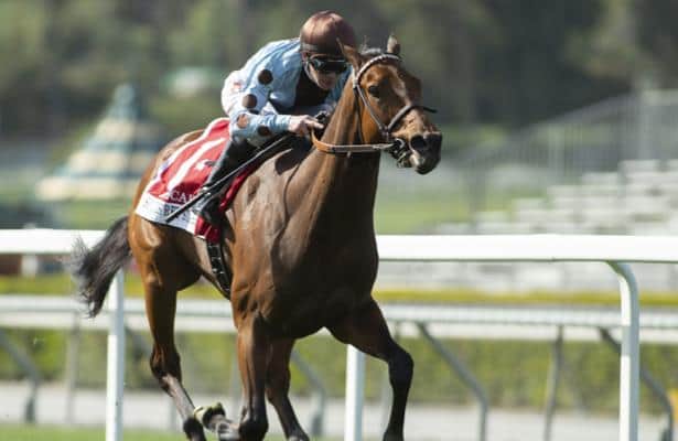 Epical enjoys extended New York stay for Belmont Stakes weekend