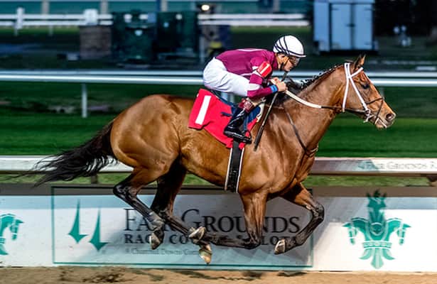 Lecomte analysis: This speed horse is the best single pick