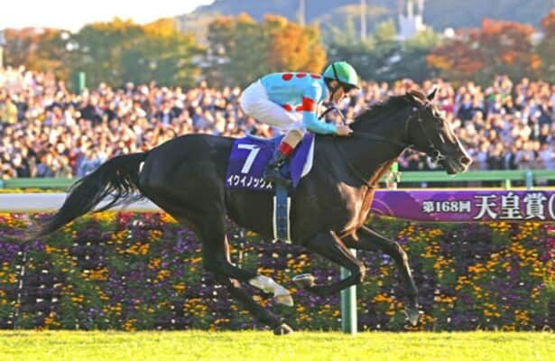 World's top-rated horse, Equinox, wins in Japan as Royal Ascot wraps up in  England 