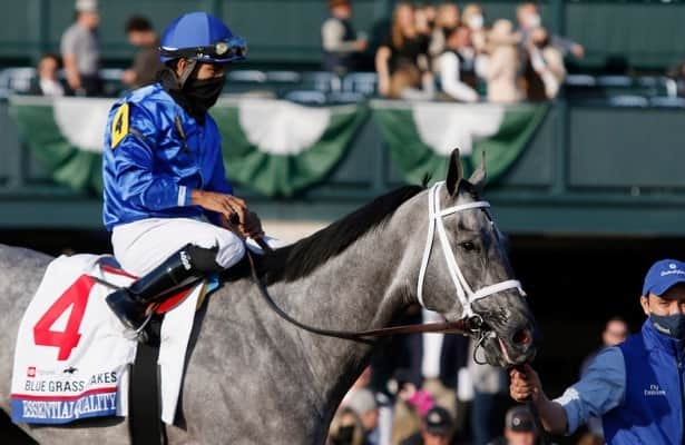 Mattress Mack' gets into horse racing