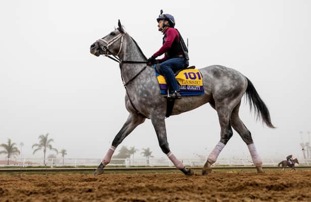Head to Head: Handicapping the Breeders' Cup Classic
