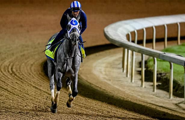 Cox pronounces Essential Quality ready for Belmont Stakes