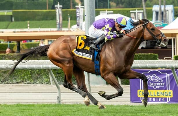 Exaulted continues to excel on turf, wins Shoemaker Mile