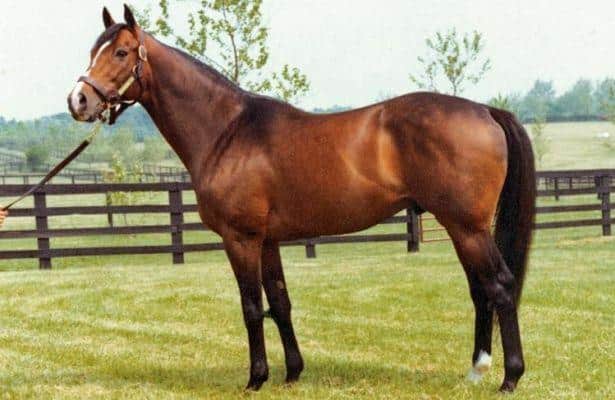 Remembering … Exceller
