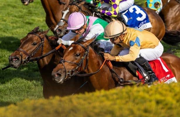 Expensive Queen, Segesta dead-heat in Jenny Wiley