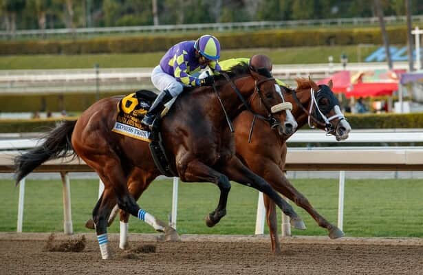 Streaking Express Train is on track for the Hollywood Gold Cup