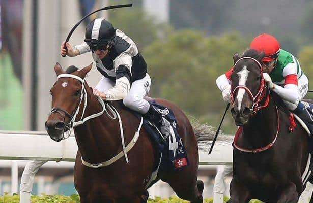 Exultant up in time to win thrilling Hong Kong Vase