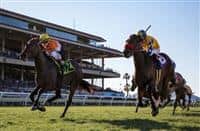 November 28, 2015: Family Meeting with Drayden Van Dyke up (left) defeats Riri and Rafael Bejarano to win the Jimmy Durante Stakes at Del Mar Race Track in Del Mar, California. Evers/ESW/CSM