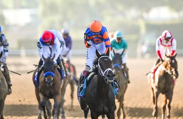 Florida Derby: Will Fierceness run to his strong works?