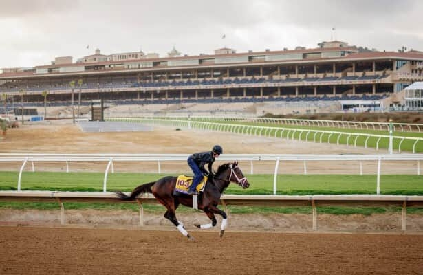 Breeders’ Cup 2024: Pletcher hopes break works for Fierceness