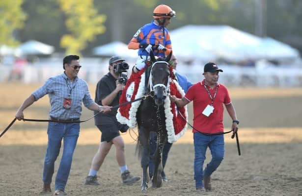 Workouts: Fierceness returns to tab, 1 of 52 graded winners