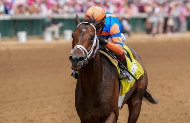 Fierceness breezes for Met Mile, leads Pletcher's Saratoga string