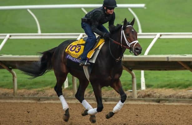 Breeders' Cup Classic: Fierceness is favorite on new morning line