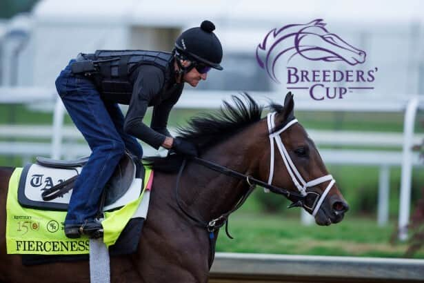 Fierceness maintains his lead in Breeders’ Cup Classic top 10