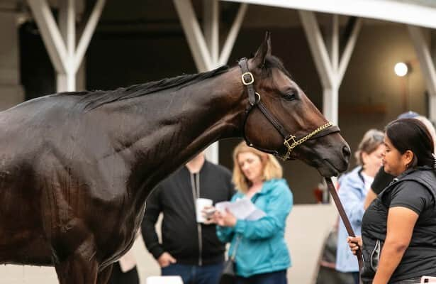 Workouts: 9 Breeders’ Cup candidates breeze before shipping