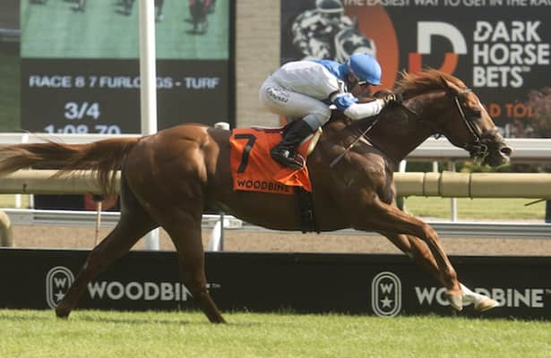 Woodbine: Play the all-graded-stakes Pick 5 on Saturday