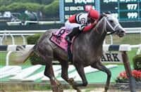 Fish Trappe Road wins 2016 Dwyer