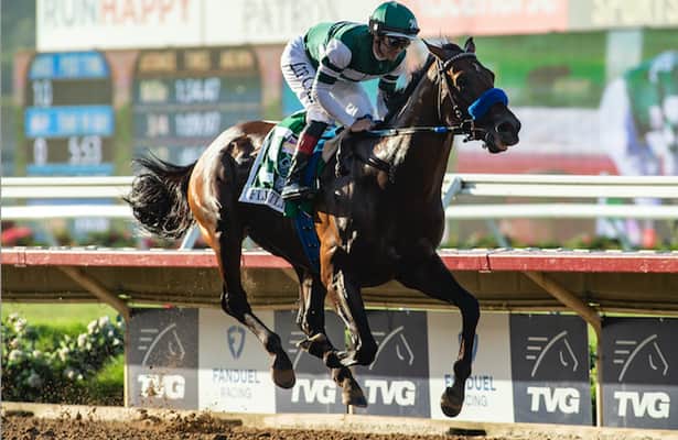 These 3 Breeders' Cup probables might enjoy mud or slop
