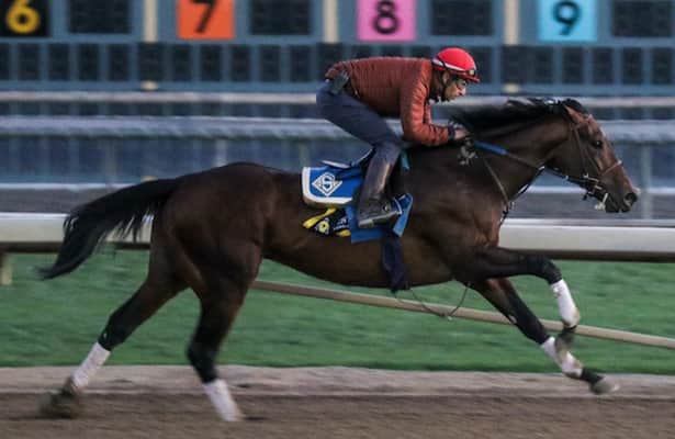Churchill Downs Racing Schedule 2022 Report: Flightline Could Return In The Churchill Downs Stakes