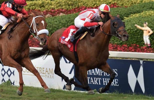 Weekend Watch: Grade 1 United Nations leads stakes lineup