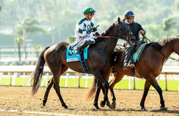 Del Mar: Forever After All ships in for Red Carpet moment