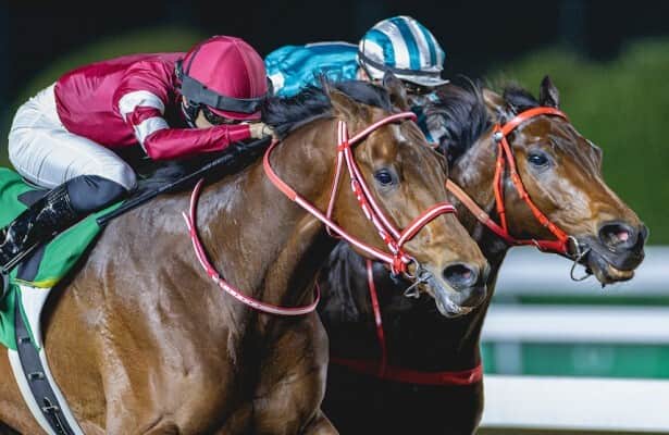 ★ドバイワールドカップ2007★現地レーシングプログラム　RACE CARD 2007 Dubai World Cup Results