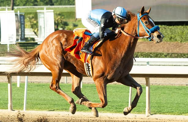 Fastest maidens: Glatt, Baffert trainees sizzle in victory