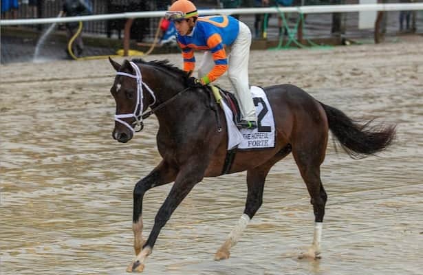 Report: Pletcher is suspended; Forte is DQ'd from Hopeful