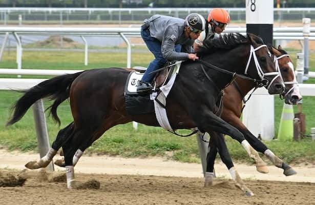 Belmont Stakes draw: Pletcher has the 2 top choices
