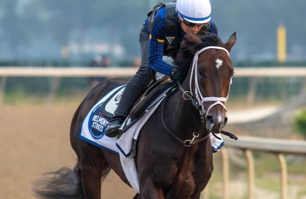 Belmont Stakes 2023: See updated win odds from New York
