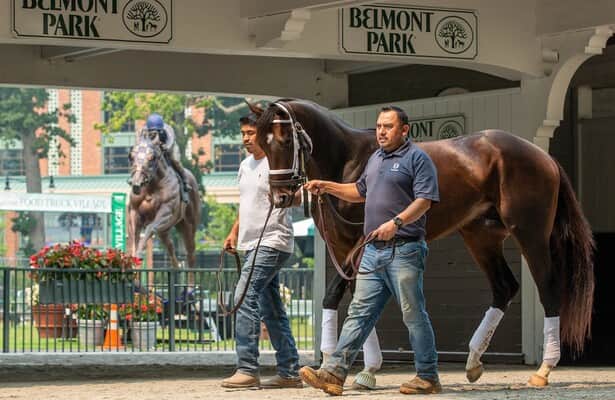 Belmont Stakes 2023: Odds, free PPs, picks, preview, more