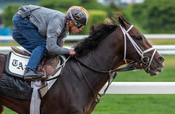 Can a 3-year-old become Breeders' Cup Classic favorite? - Horse Racing  Nation