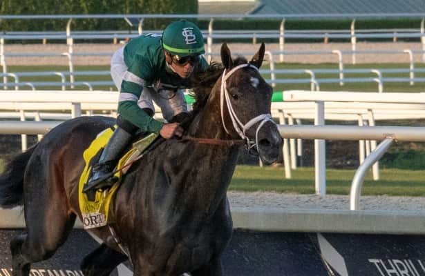 Zipse: How many Kentucky Derby starters did we see Saturday?