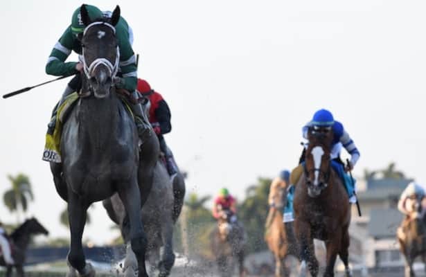 Head to Head: Handicapping the Florida Derby