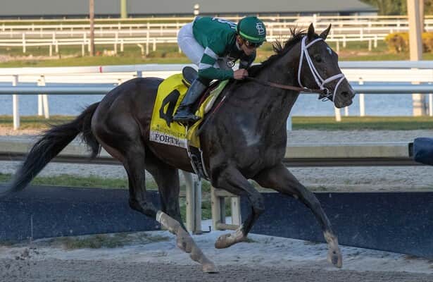 Ky. Derby futures favorite Forte leads 12 in Florida Derby field