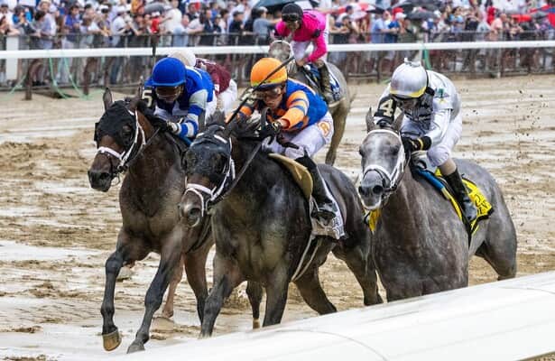 Jim Rome Horse Mizdirection Breeders