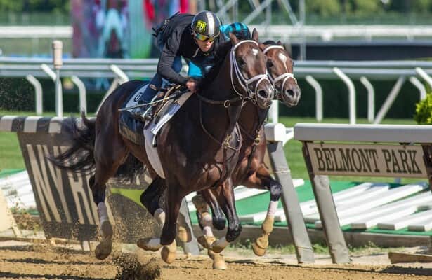Belmont Stakes: Forte, Tapit Trice, Cox trio & Raise Cain work