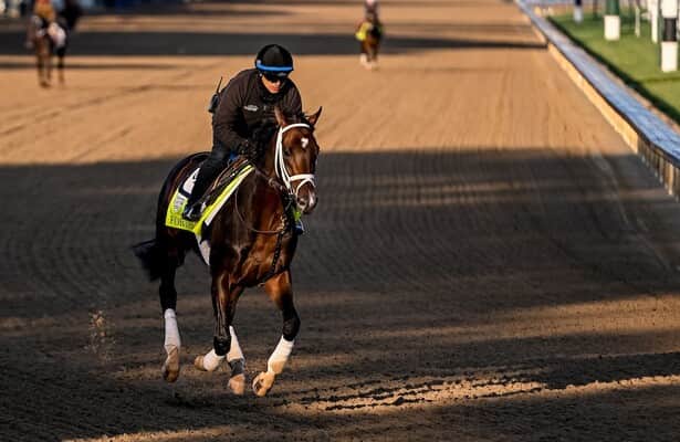 Belmont Stakes 2023: How is the field shaping up?