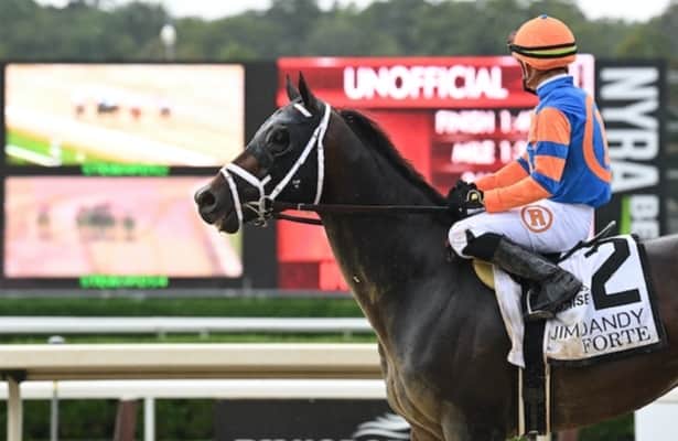 Zipse: Forte is still the one to beat in the Travers