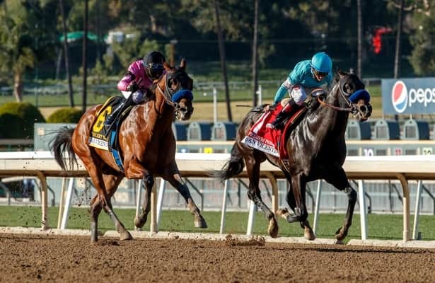 Freedom Fighter, Wipe the Slate exercise at Belmont ahead of Gotham