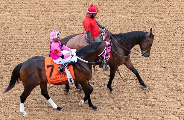 Defender Frosted Grace is favored to win Steve Sexton Mile