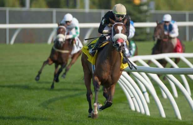 Speed figures: These are last week’s 20 fastest stakes winners