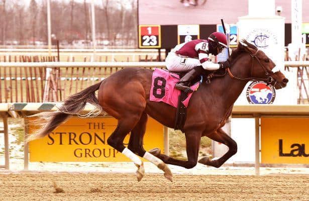 Generous Jack Generous Jack sweeps to an impressive debut victory at Laurel