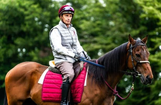 Jockey Gérald Mossé announces retirement, will start training