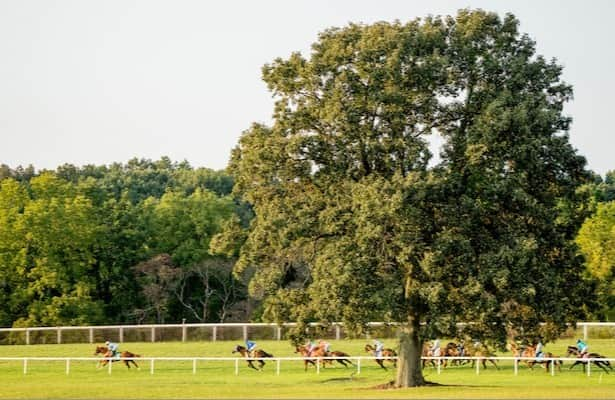 Kentucky Downs: Get Smokin looks for repeat win in Turf Cup