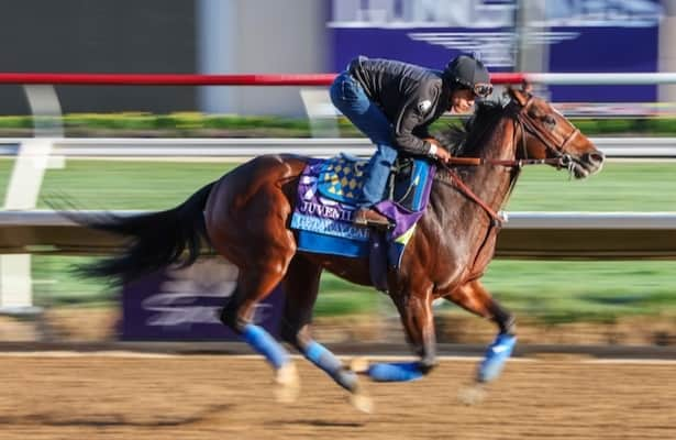 Friday works: Getaway Car leads 15 graded winners on the tab