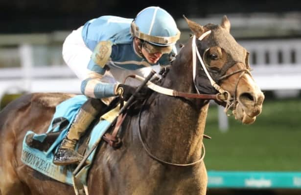 Gigante looks for 3rd straight win in Fair Grounds Stakes