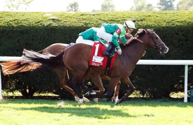 Workouts: Gina Romantica is 1 of 74 graded winners on tab