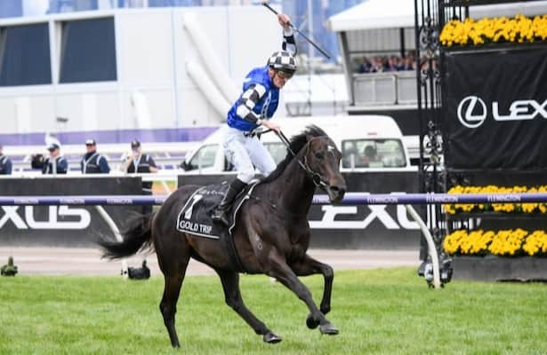 Wrona Can Gold Trip win back to back Melbourne Cups