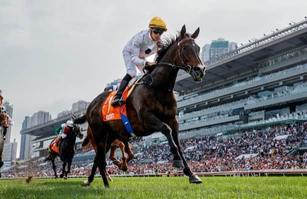 Hong Kong overnight: Picks, analysis, free PPs for Sha Tin